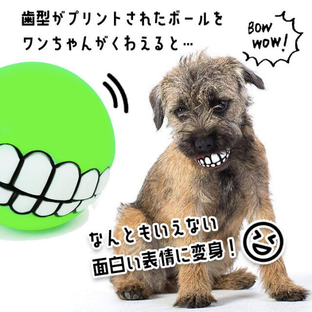歯型　ボール　面白ボール　犬　ワンコ　笛入り　おもちゃ　犬用品　玩具　ピンク その他のペット用品(犬)の商品写真