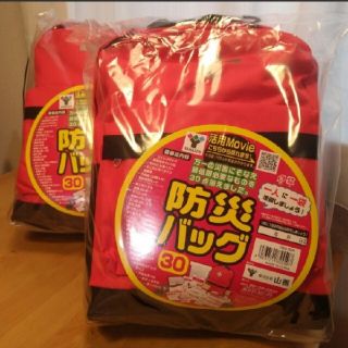 ヤマゼン(山善)の山善 避難リュック レッド 2個セット(防災関連グッズ)