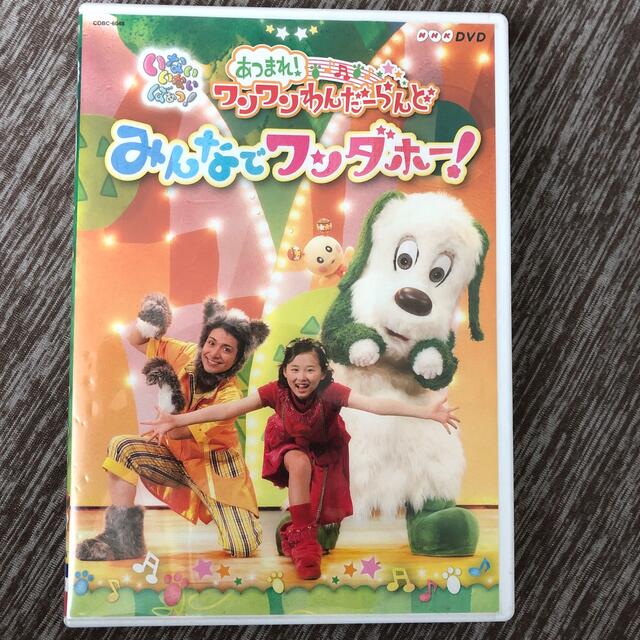 NHKDVD　いないいないばあっ！あつまれ！ワンワンわんだーらんど　みんなでワン エンタメ/ホビーのDVD/ブルーレイ(キッズ/ファミリー)の商品写真