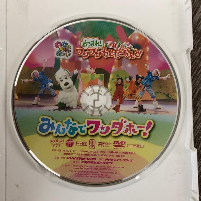 NHKDVD　いないいないばあっ！あつまれ！ワンワンわんだーらんど　みんなでワン エンタメ/ホビーのDVD/ブルーレイ(キッズ/ファミリー)の商品写真