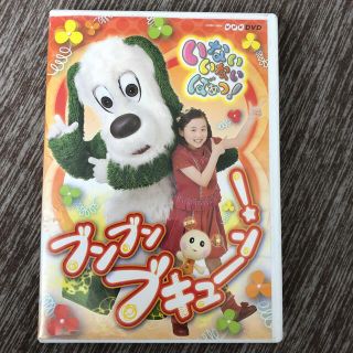 NHKいないいないばあっ！　～ブンブン　ブキューン！～ DVD(キッズ/ファミリー)