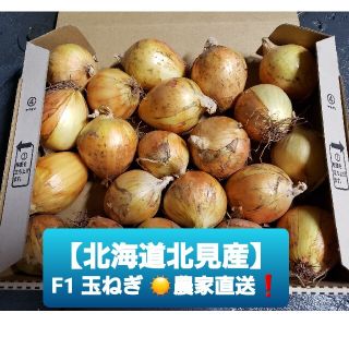 北海道 北見産 ミニ 新玉ねぎ ◎農家直送(野菜)