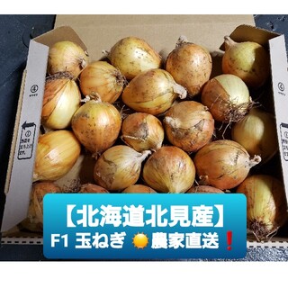北海道 北見産 ミニ 新玉ねぎ ◎農家直送(野菜)
