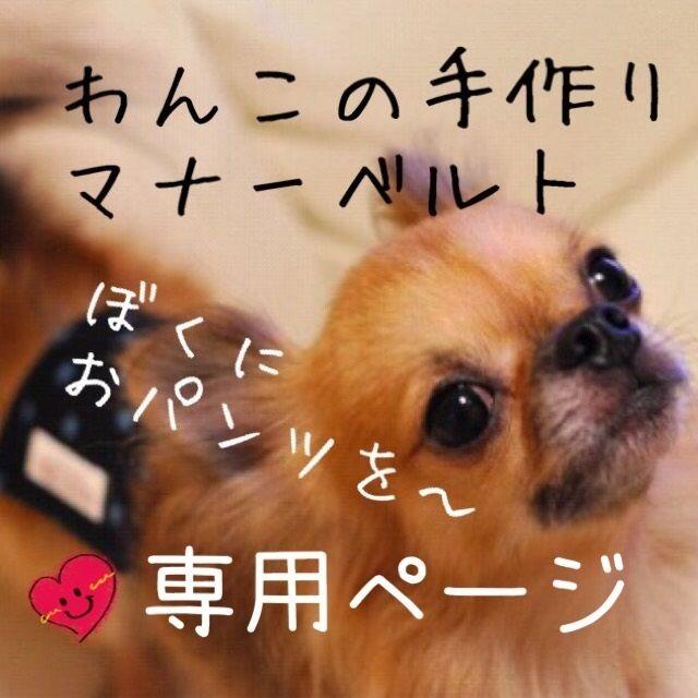 えり様専用ページ その他のペット用品(犬)の商品写真