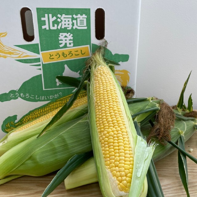 北海道産とうもろこし【１０本入】 食品/飲料/酒の食品(野菜)の商品写真