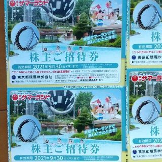 ２枚サマーランド東京都競馬の株主優待９月30日(プール)