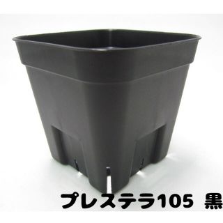 プレステラ 105 黒　新品　10個450円(プランター)