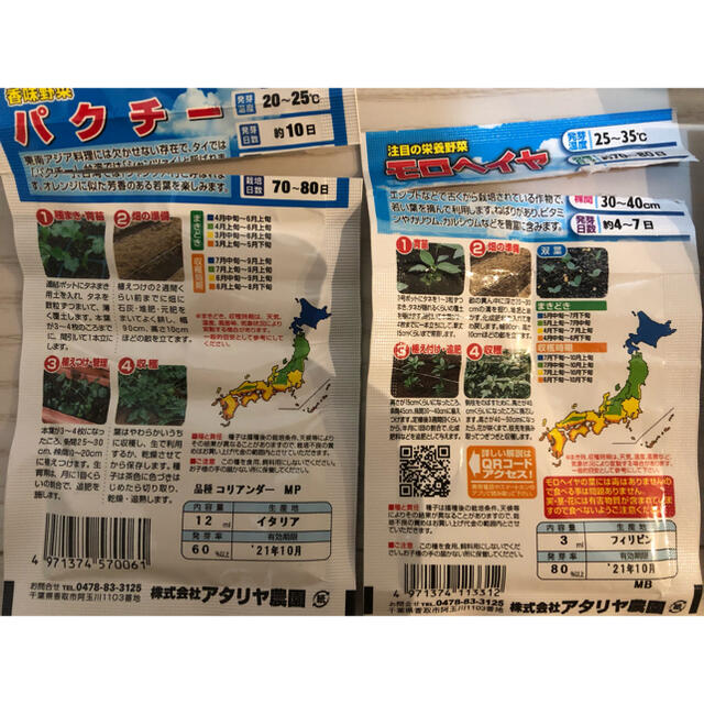 野菜の種　3種セット 食品/飲料/酒の食品(野菜)の商品写真