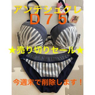 アンテシュクレ(intesucre)のアンテシュクレ　intesucre ブラジャーショーツ　セット　ネイビー　D75(ブラ&ショーツセット)