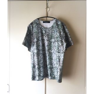 アッシュペーフランス(H.P.FRANCE)のSHIROMA 総柄　Tシャツ　カットソー　F(Tシャツ/カットソー(半袖/袖なし))