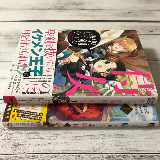 小説家になろう コミックス 漫画 まとめ売り 2冊 セット