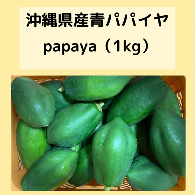 沖縄県産無農薬　青パパイヤ1kg 食品/飲料/酒の食品(野菜)の商品写真