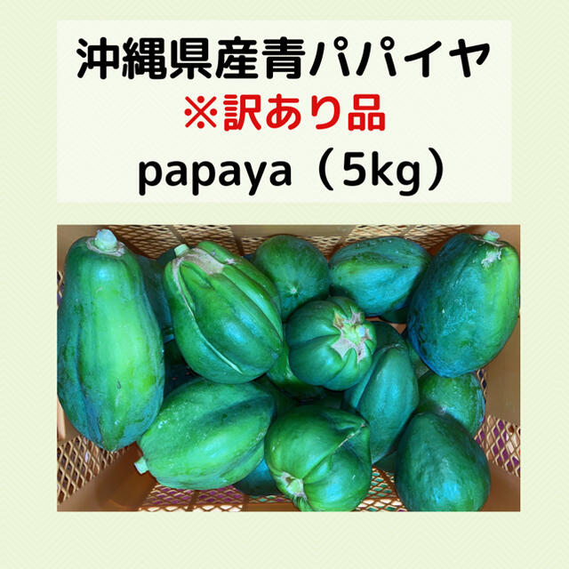 沖縄県産無農薬　青パパイヤ訳あり品5kg 食品/飲料/酒の食品(野菜)の商品写真