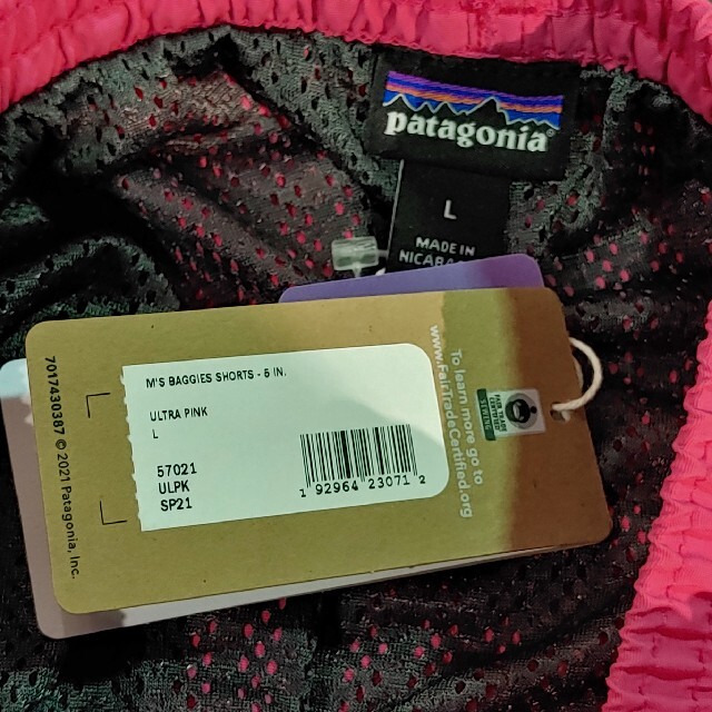 patagonia(パタゴニア)のPatagonia パタゴニア バギーズショーツ L 完売 メンズのパンツ(ショートパンツ)の商品写真