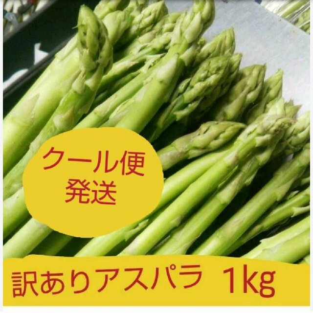 訳ありアスパラガス1㎏ 食品/飲料/酒の食品(野菜)の商品写真