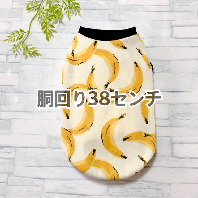 国産品 オーダー【胴回り38センチ】ボーダーばななのタンクトップ犬服