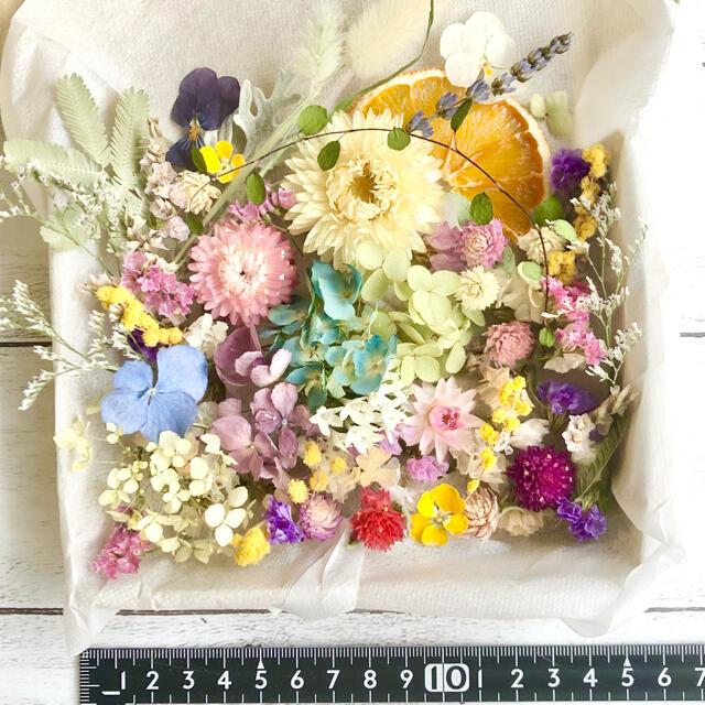 ドライフラワー花材セットNo.221⁑カラフルバラエティー  ハンドメイドのフラワー/ガーデン(ドライフラワー)の商品写真