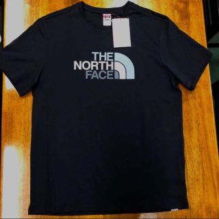 ザノースフェイス(THE NORTH FACE)の人気ノースフェイス 王道BLACK グラデーションLOGO Tシャツ 海外L‼️(Tシャツ/カットソー(半袖/袖なし))