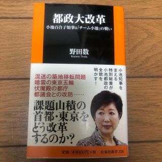 都政大改革 小池百合子知事＆「チ－ム小池」の戦い(文学/小説)