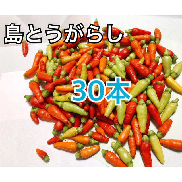 沖縄県産　島とうがらし３０本 食品/飲料/酒の食品(野菜)の商品写真