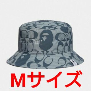 アベイシングエイプ バケットハット ハット(メンズ)の通販 52点 | A