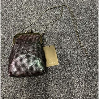 ザラ(ZARA)のzara ザラ  メタルメッシュスネークチェーンショルダーバッグ (ショルダーバッグ)