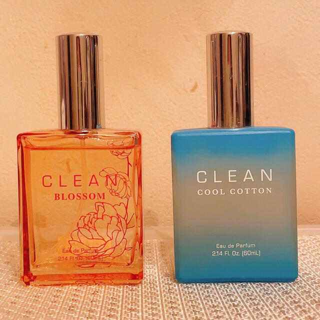 未使用 clean クールコットン ブロッサムep 9割 内祝い Www Friedrich Dengler De 未使用 clean クールコットン ブロッサムep 9割 内祝い Www Friedrich Dengler De