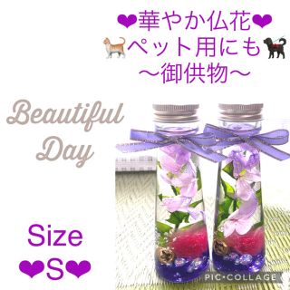 【仏花】〜華やかお供えハーバリウム〜桃色小菊＆木の実in♡2本セット♡S(プリザーブドフラワー)