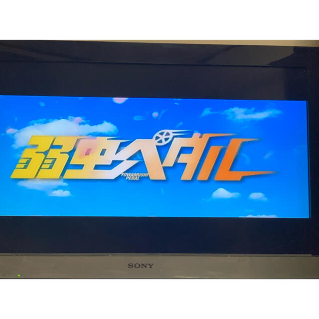 【送料無料】実写版 弱虫ペダル DVD 永瀬廉 橋本環奈 伊藤健太郎