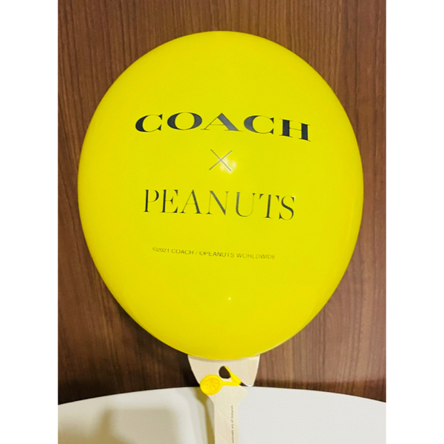 【新品未使用】COACH×PEANUTS スヌーピー コーチ ボディバッグ 5