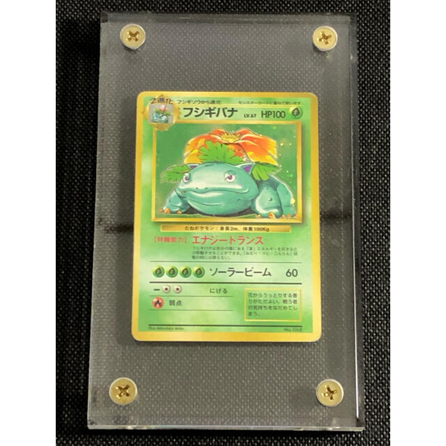 フシギソウ 旧裏 【マークなし】 - ポケモンカードゲーム フシギソウ 旧裏 【マークなし】 - ポケモンカードゲーム