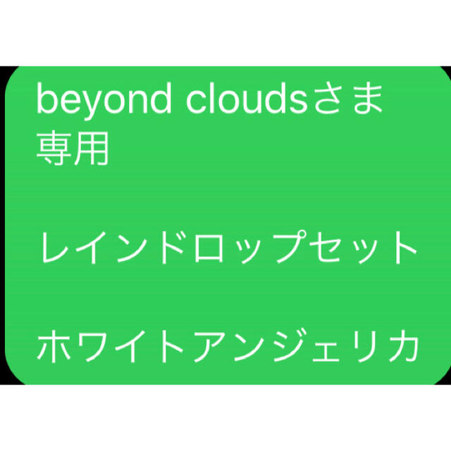 beyond cloudsさま 専用 レインドロップセット ホワイトアンジェリカ コスメ/美容のリラクゼーション(エッセンシャルオイル（精油）)の商品写真