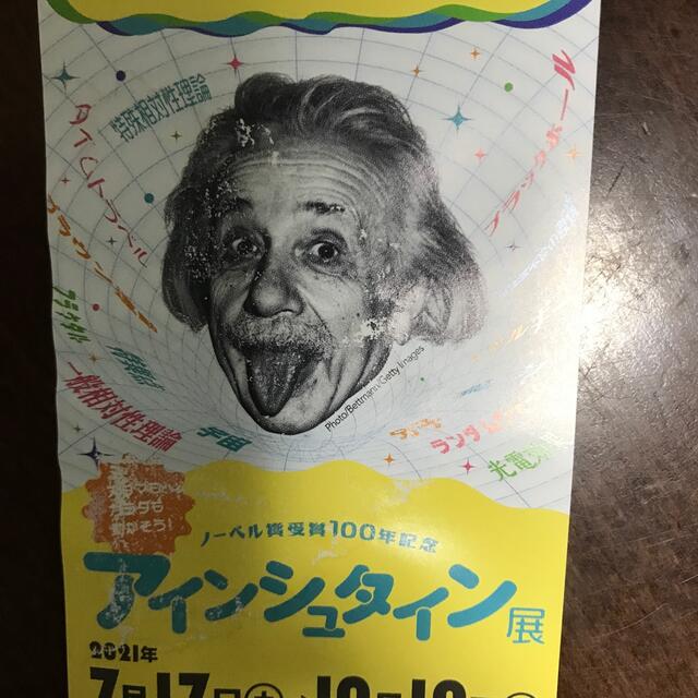 アインシュタイン展　招待券２枚（大阪市立自然史博物館） チケットの施設利用券(美術館/博物館)の商品写真