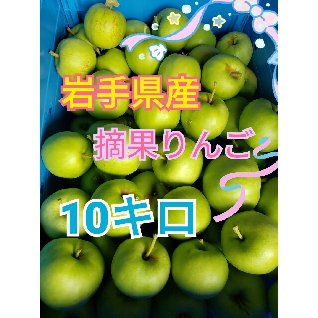 お気に入り 摘果りんご ２３ｋｇ 岩手県産 減農薬栽培 加工用りんご