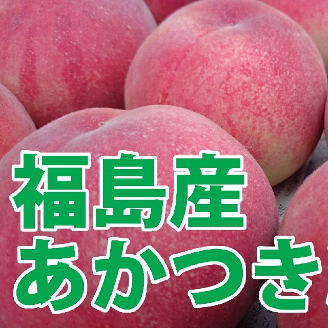 福島産 桃 あかつき 9～12玉 3kg 秀級品 ７月31日発送 食品/飲料/酒の食品(フルーツ)の商品写真