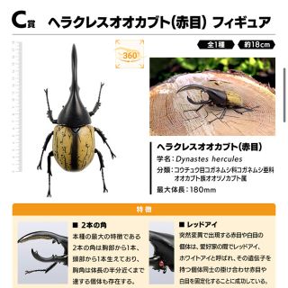バンダイ(BANDAI)の一番くじ昆虫 世界の昆虫だいしゅうごう C賞 ヘラクレスオオカブト 赤目 (その他)