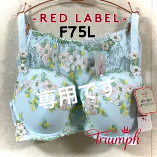 トリンプ(Triumph)のトリンプ プレミアムレッドレーベル F75L(セット/コーデ)