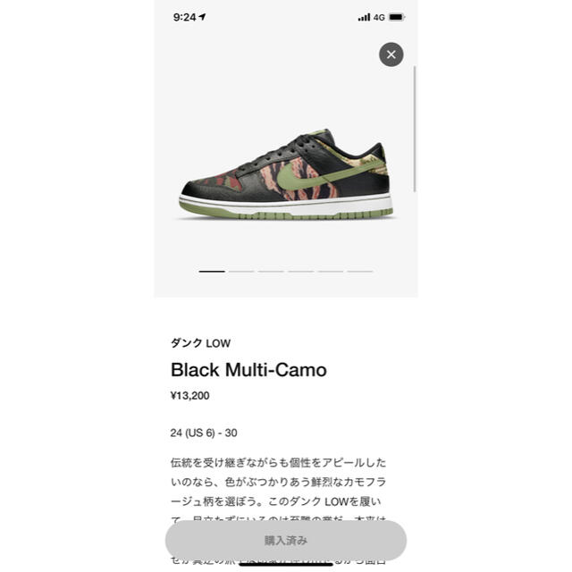 NIKE(ナイキ)のNIKE ダンク Low Black Multi-Camo  メンズの靴/シューズ(スニーカー)の商品写真