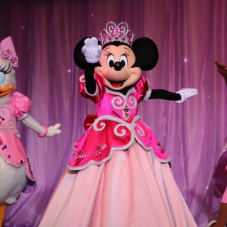 ディズニー(Disney)の専用　　白雪姫1つ(その他)