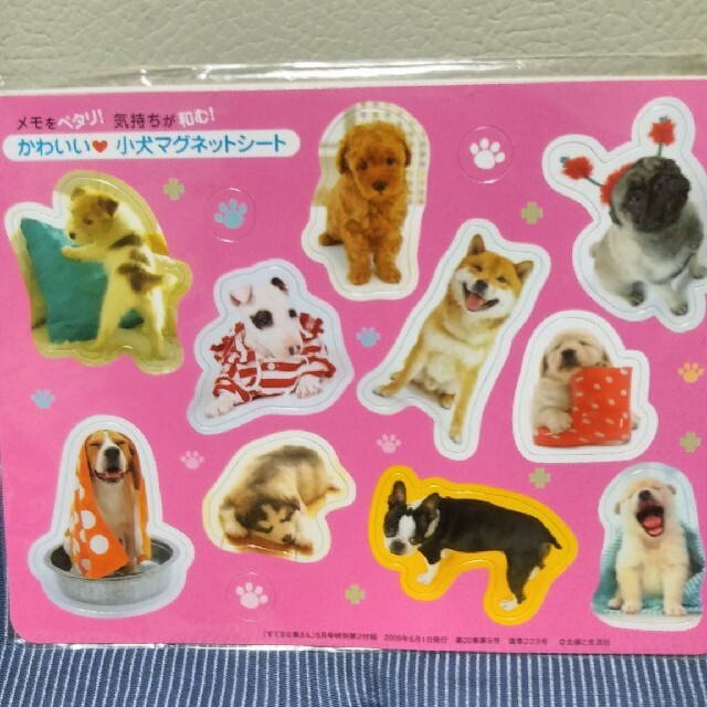 小犬マグネットシート! その他のその他(その他)の商品写真