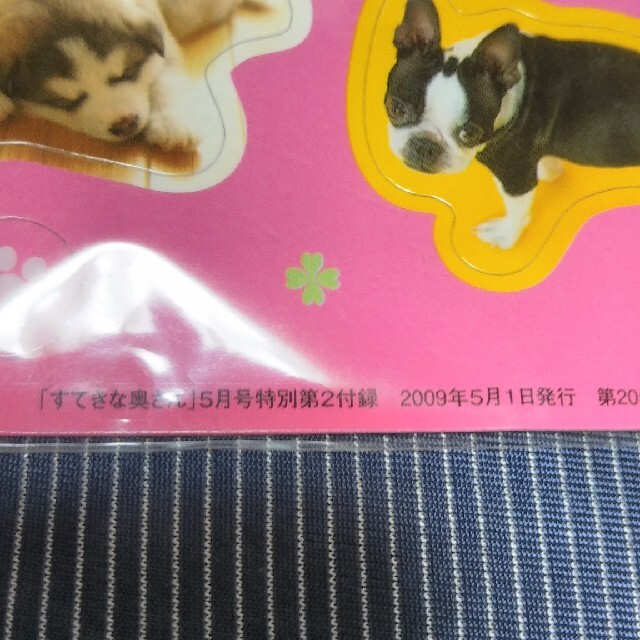 小犬マグネットシート! その他のその他(その他)の商品写真