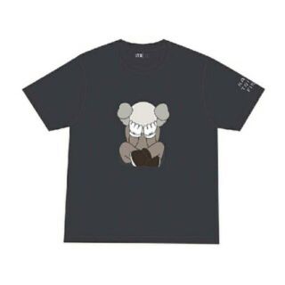 ユニクロ(UNIQLO)のUNIQLO KAWS サイズ　L 新品　オンライン購入(Tシャツ/カットソー(半袖/袖なし))