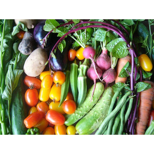 野菜詰め合わせ　農薬・化学肥料不使用 食品/飲料/酒の食品(野菜)の商品写真