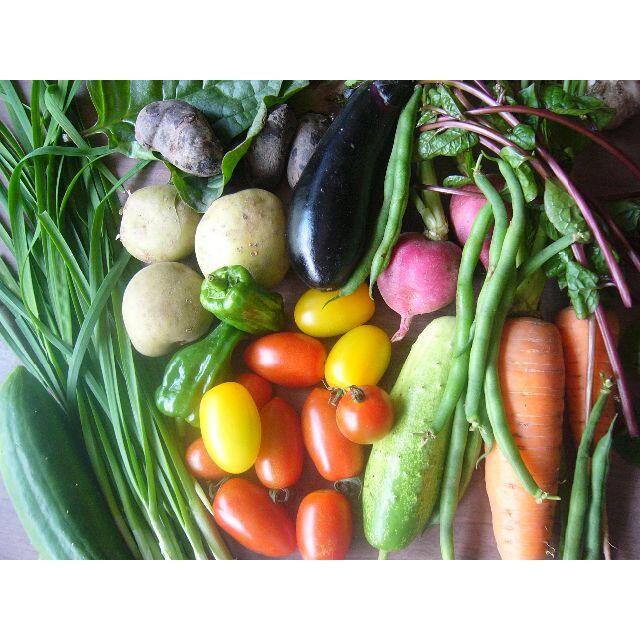 野菜詰め合わせ　農薬・化学肥料不使用 食品/飲料/酒の食品(野菜)の商品写真
