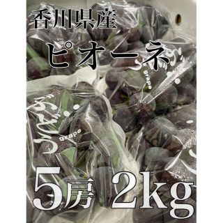 大量入荷の為格安出品！！香川県産【ピオーネ】5房　2kg！(フルーツ)