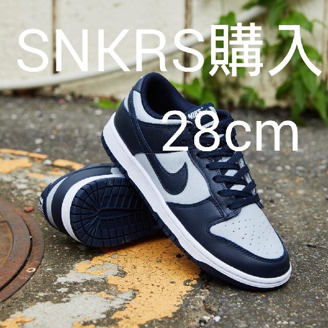 Nike Dunk Low Champion ship Grey 28cm