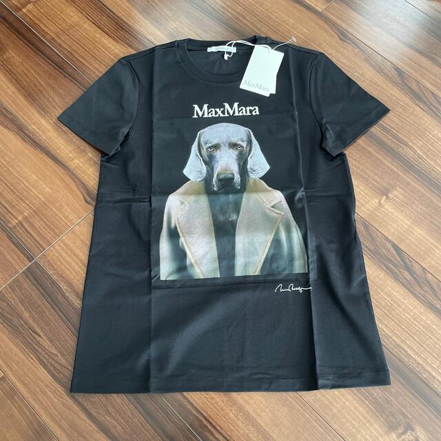 Max Mara マックスマーラ　Tシャツ