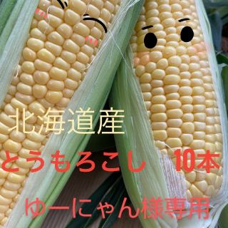 北海道産とうもろこし【１０本入り】(野菜)