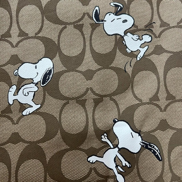 完売品】PEANUTS × COACH スヌーピーシグネチャーフーディー | www