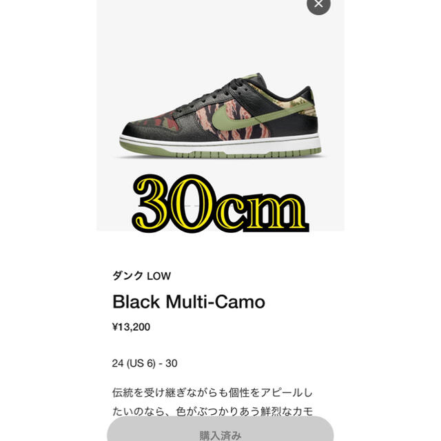 NIKE DUNK LOW ナイキ ダンク ロー SE マルチカモ ブラック